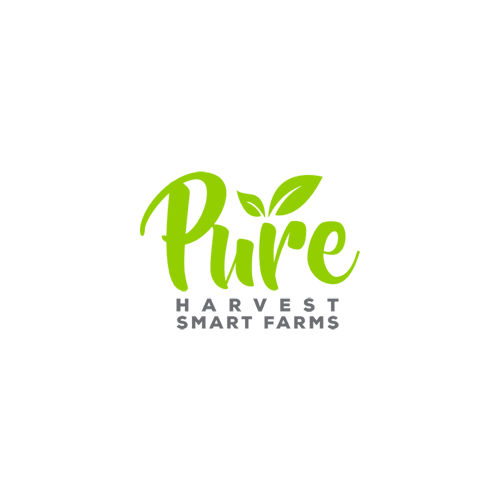 Pure Harvest - Food Startup in Abu Dhabi